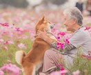5分でもOK！誰かと話したい時、お話し聞きます 日常のことでも魂の色のことでも何でもOK イメージ2