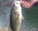 ブラックバスの釣り方、道具の選び方お教えします 初心者、女性の方大歓迎です！バス釣りを楽しみましょう！ イメージ1