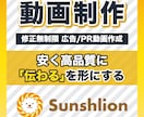 修正無制限！伝わる広告動画を丁寧に制作します 構成から編集まで全て対応！安く高品質な動画をお届けします！ イメージ1