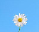 愚痴・相談・雑談　話し相手になります 内容が決まってなくても、1分でもOK(*´ `*) イメージ1