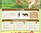 今だけ特別価格！チラシ、パンフレット制作いたします チラシ、パンフレット、ポスター、DM、ロゴなど対応可能！ イメージ5