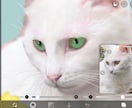 大切なうちの子を、飾れるキャンバスアートにします 現役の画家が肖像画を制作し、キャンバスプリントでお届け イメージ3