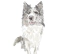 フォローで￥300OFF！優しいタッチで描きます ナチュラルで飾りやすい優しいタッチのペットアートを制作 イメージ2