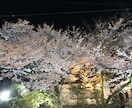 ちょっとした愚痴聞きます 25年間の主婦色々な事ありまして愚痴聞きますよ イメージ1