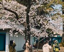 イベント撮影します ○○フェス、〇〇マルシェなどのイベント撮影します。 イメージ7