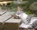 暗記と理解をブーストさせる勉強方法を伝授します あるものを飲む事で記憶力と理解力がかなり上がります。 イメージ1
