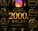 Instagramフォロワーを2000人増やします インスタグラムのフォロワーを2000人増やします イメージ1