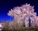 ご依頼者様との打合せ済出品枠です。要望対応致します ご依頼に沿った形で対応させていただきます♪ イメージ1