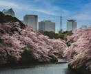 最短1日！曇り空も晴れ空に！！画像編集受け承ります 画像の切り抜き、合成などを最短翌日までに完成させます！ イメージ3