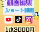 TikTok・リール・ショート動画を編集します テロップ・BGM対応！丁寧に編集します！ イメージ1
