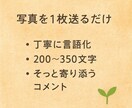 写真から感じ取れる心の状態をお伝えします 感情の輪郭をやさしく描くあなた専用の言葉をお届け イメージ2
