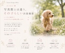 ペット撮影で大切な家族との思い出を写真に残します 犬・猫・小動物・鳥・爬虫類など幅広く対応します。 イメージ9