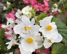 何気ない会話聞きます なんとなく話したいなぁ〜って時教えてください☺️ イメージ1