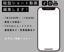 縦型ショート動画編集します 感情に刺さるショート動画に仕上げます イメージ1
