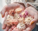 男性限定✿NGなし✿あなたの全部を受け止めます ❀あなたの事を想像しながら…しっかり聴くよ❀ イメージ2