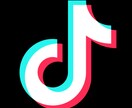 TikTokであなたの動画宣伝します フォロワー3000人いいね数600K以上 イメージ1