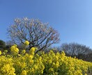 他人に話したいことを聞きます 愚痴や悩み、他人に話してスッキリしませんか？ イメージ1