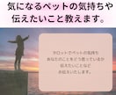あなたに伝えたい、ペットの気持ち教えます ※あの子はどう思ってる？どうして欲しい？タロットでお伝え イメージ3