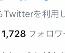 Twitter日本人フォロワー1000人増やします 1番大変な1000人の壁を超えるお手伝い、オプションも イメージ3