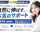 X（旧Twitter）で1ヶ月間、成長支援します 「リプライが欲しい」「いいね0で焦る」人に手動で価値提供! イメージ3