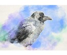 はがきサイズでペットの表情を水彩で可愛く描きます お顔アップで魅力倍増！ふんわり水彩アート イメージ4