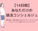14日間：あなただけの就活コンシェルジュになります 就活相談、求人提案、履歴書添削まで就活の全てに対応します！ イメージ1