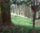 あなたのお悩みに、寄り添わせていただきます あなたに絡みついたものを解いていきます イメージ2