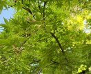 ガス抜きに！大抵のことには驚かずにお聞きできます 起業、借金、不倫、愚痴…見ず知らずだからこそ遠慮なく！ イメージ1