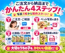ペット写真1枚からAIリール動画15本作ります 写真1枚でOK！愛犬・愛猫がSNS動画の主役に イメージ8