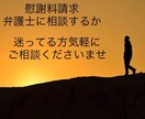 慰謝料請求された側の方、不安解消いたします 養育費、慰謝料、親権、これからのだいたいの費用など イメージ1