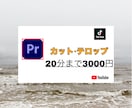 テロップ入れ、カット編集のみ動画編集いたします 20分まで3000円、それ以降10分/500円 イメージ1