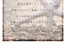 ブライダル web profile作ります 環境,お財布,人に優しい時代に合わせたペーパレス結婚式 イメージ2