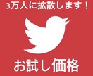 あなたのツイートを1万人に拡散します まずは低価格からスタートしたい方にオススメ！！ イメージ1