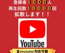 登録者1000人＆再生回数10000回拡散します YouTube登録者＆再生回数を増やし収益化チャンネルへ導く イメージ1