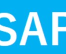 SAP初心者や導入予定者の相談に乗ります SAP歴20年のベテラン経理ユーザーがよろずお助け イメージ1