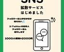 特別価格　旧Twitterフォロワー増やします あなたのコンテンツを輝かせるお手伝いをします‼️ イメージ1
