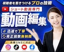 ショート動画をプロが制作・編集いたします 【修正回数無制限】最後まで安心してお任せください イメージ1