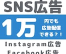 Instagram広告認定資格者が運用代行をします 【広告運用歴14年】現役マーケターがサポート イメージ2