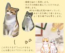 選べるフォトスタジオ風の背景！ペットをお描きします 着せ替えもできる！可愛いペットをアートとして残しませんか？ イメージ7