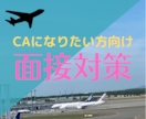 元CA・現面接対策講師が航空会社向け面接練習します 60分たっぷり模擬面接&フィードバック付き！質問もOK イメージ1