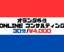 オランダ移住に関するお悩み相談受け付けております オランダ移住ONLINEコンサルティング 30分 イメージ1