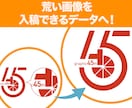 お持ちの画像をトレースしてAiデータをお作りします 迅速・丁寧・高品質なトレース対応！ イメージ2