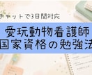愛玩動物看護師の勉強相談承ります 動物病院勤務10年の経験をもとにお答えします イメージ1