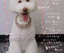 写真に文字入れします その瞬間を忘れないように残します イメージ7