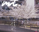 写真に寄り添う手書き文字を制作します ブランドマーケ視点×インスタ実践者 イメージ9