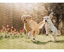 思い出の写真を１枚のモザイクアートに加工します プレゼント用などに大変好評を頂いております。 イメージ1