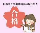 薬剤師国家試験直前対策！優しく教えます ＊国家試験得点300↑今からでも100点↑上がります イメージ1