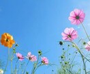 全力応援！あなたの背中を押します 不安があっても大丈夫！どんな時もあなたの味方です♬ イメージ10