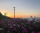 Instagramで使える画像写真提供します Instagramの投稿で使える綺麗な素敵な写真はお任せ！ イメージ9