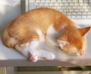 商品レビューブログ記事、コラム記事請負ます 文章作成ならお任せ、SEO対策もバッチリ! イメージ1